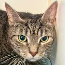 Thumbnail photo of Mary Kay #3