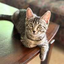 Thumbnail photo of Eliza #2