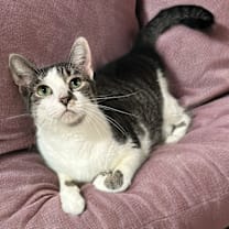 Thumbnail photo of Layla #1