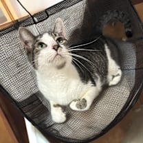 Thumbnail photo of Layla #2