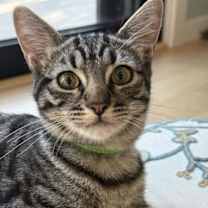 Thumbnail photo of Nora #1