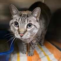 Thumbnail photo of Katy Grace (Kate) #2