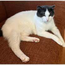 Thumbnail photo of Finn #3