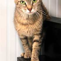 Thumbnail photo of Hannah #2