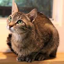 Thumbnail photo of Hannah #3