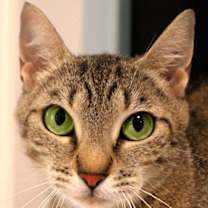 Thumbnail photo of Hannah #4