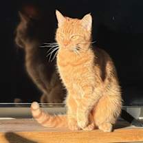 Thumbnail photo of Daisy Mae #2