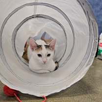 Thumbnail photo of Nina #1