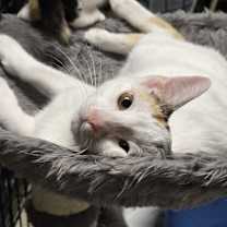 Thumbnail photo of Nina #2