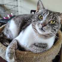 Thumbnail photo of Junior #1