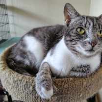 Thumbnail photo of Junior #2