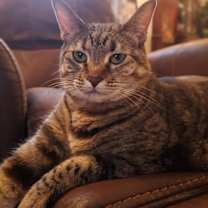 Thumbnail photo of Squiggles #2