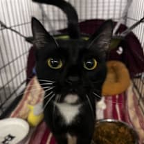 Thumbnail photo of Maya #4