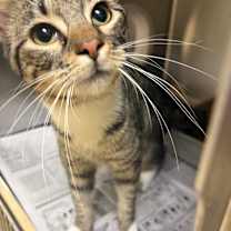 Thumbnail photo of Siera  #2