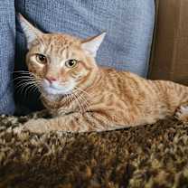 Thumbnail photo of Zumba #2