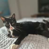 Thumbnail photo of George #2