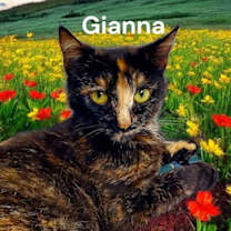 Thumbnail photo of Gianna #2