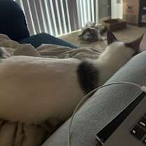 Thumbnail photo of Waffles #2