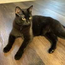 Thumbnail photo of Libby #1