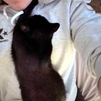 Thumbnail photo of Libby #3