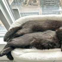 Thumbnail photo of Libby #4