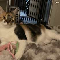 Thumbnail photo of Spirit #1