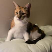 Thumbnail photo of Spirit #2