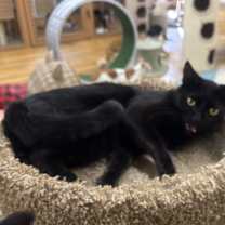 Thumbnail photo of Olivia #4