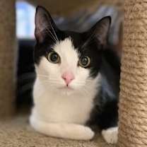 Thumbnail photo of Blossom #1