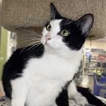 Thumbnail photo of Blossom #2