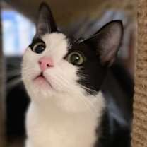 Thumbnail photo of Blossom #3