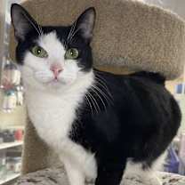 Thumbnail photo of Blossom #4