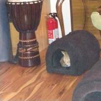 Thumbnail photo of Data #3