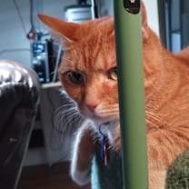 Thumbnail photo of Data #4