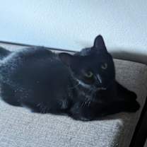 Thumbnail photo of File #4