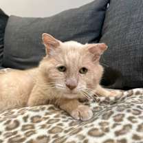 Thumbnail photo of Sam #1