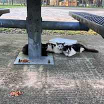 Thumbnail photo of Tres #2