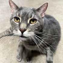 Thumbnail photo of Blair in CT #2