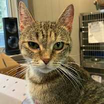 Thumbnail photo of Princess #2