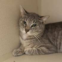 Thumbnail photo of Cass #3