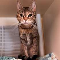 Thumbnail photo of Princess #3