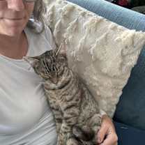 Thumbnail photo of Jar Jar Binks #1