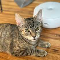 Thumbnail photo of Jar Jar Binks #3