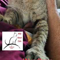 Thumbnail photo of Wyndham #4