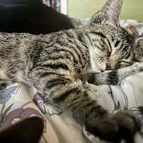 Thumbnail photo of Gwen #1