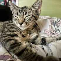 Thumbnail photo of Gwen #2