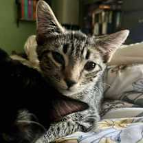 Thumbnail photo of Gwen #3