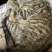 Thumbnail photo of Gwen #4