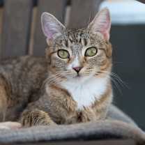 Thumbnail photo of Max #1