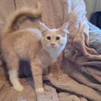 Thumbnail photo of Gilly #2